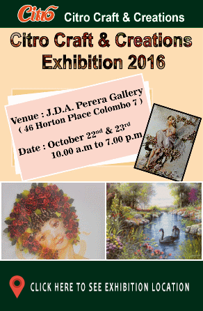 Citro Craft & Creations Exhibiton 2016